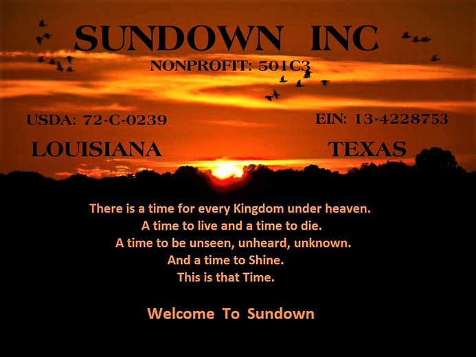 Sundown Inc Animal Rescue Home